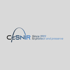 Cesnir
