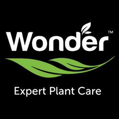 Wonder Vegan
