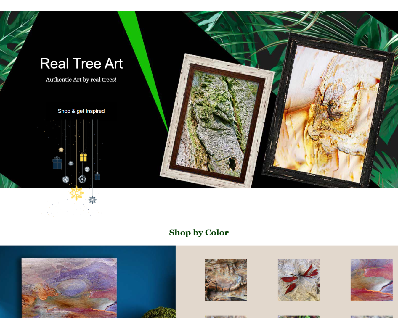 portfolio