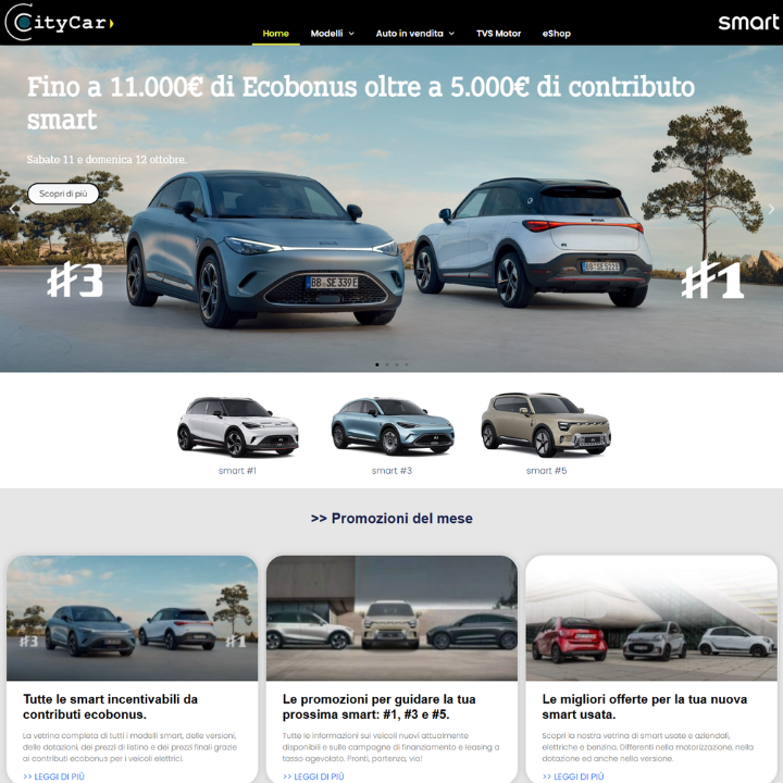 City Car Smart